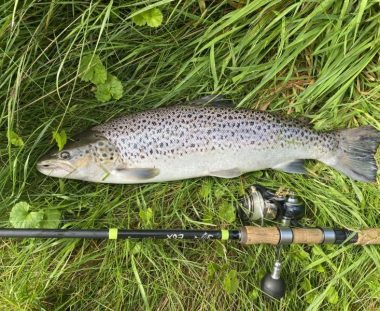 Bent Hygum Havørred 56 cm