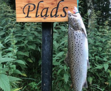 Hans Peder Trans Havørred 66 cm 3 kg