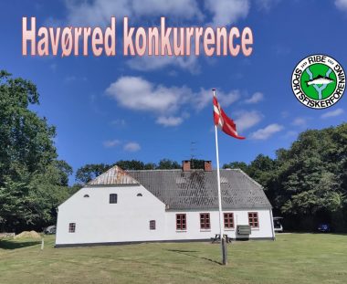 RSF havørred konkurrence dag 1