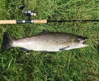 Mads Ørnbjerg Havørred 60 cm 2,9 kg