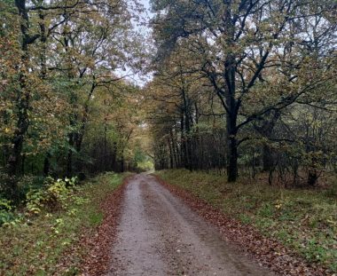 Årets sidste Senior fiskeri.