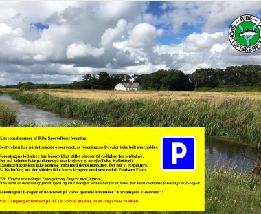 Bestyrelsen har på det seneste observeret, at foreningens P-regler ikke helt overholdes.