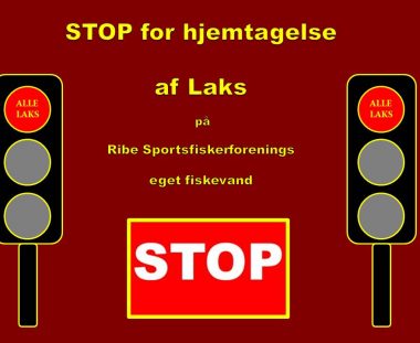 Så er kvoten for LAKS opfisket på RSF eget fiskevand.