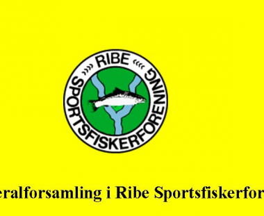 Indkaldelse til generalforsamling
