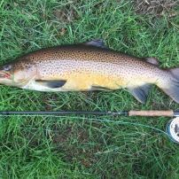 Årets største Havørred 2018 Martin Schack havørred 88 cm 7.3 kg