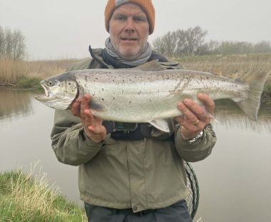 Morten Holm Witte Havørred