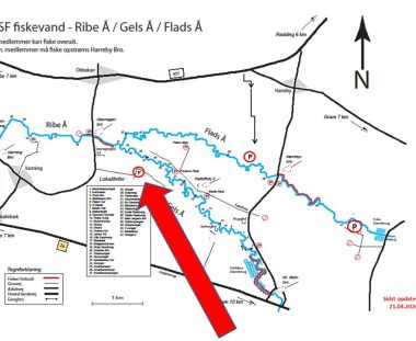 Ændring af P-plads syd for Skovsvinget(syd for Gelså)