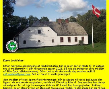 Tilbud til nye medlemmer