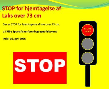 Stop for hjemtagelse af STORE laks
