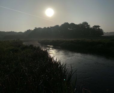 Senior fiskeri