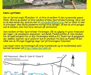 Tilbud til NYE medlemmer af RSF